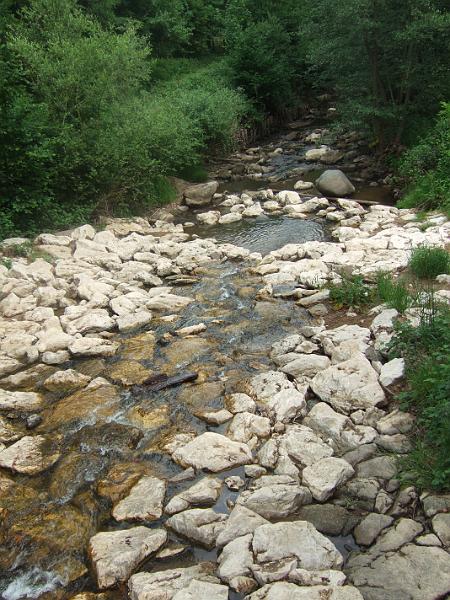 2011-05- (213).JPG